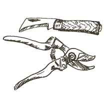 illustration-galabau-aulenkamp-messer